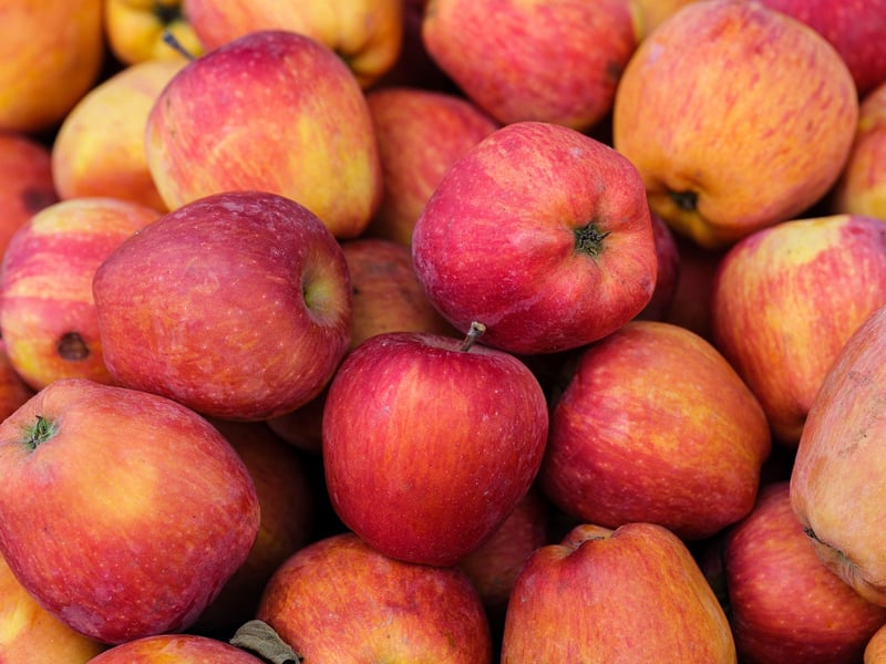 Organic Choices